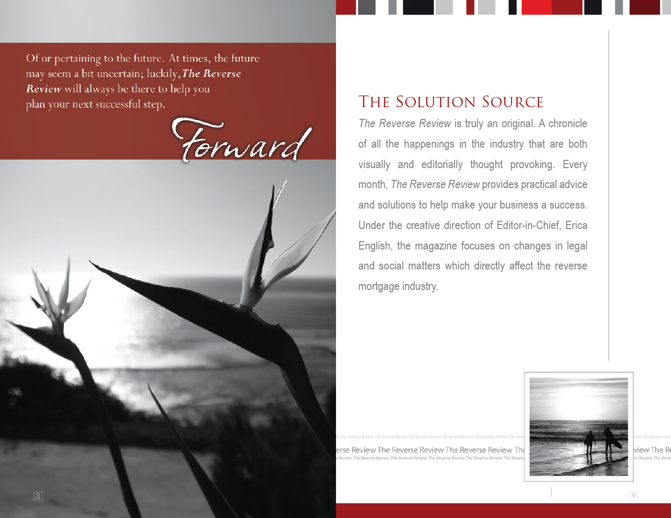 The Reverse Review Media Kit, detail 6