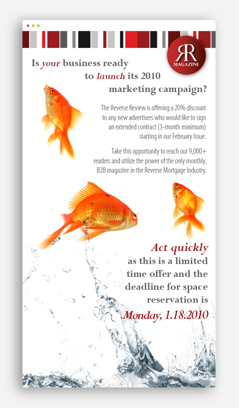 The Reverse Review Email Marketing Campaign, detail 5